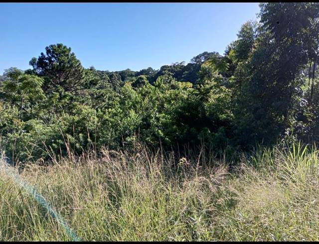 FARM FOR SALE IN RAMSGATE